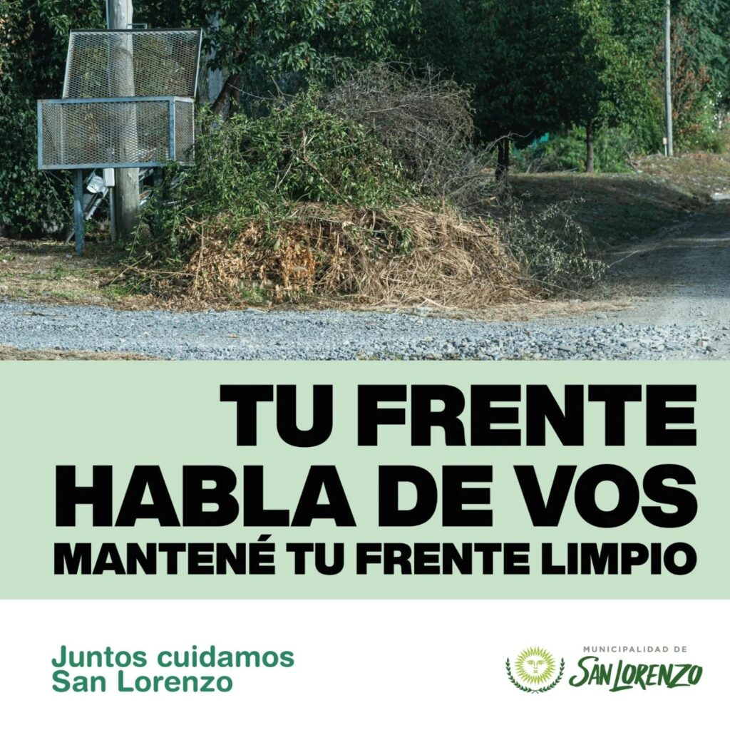 Poda Consciente, los cuidados necesarios que hay que tener en cuenta