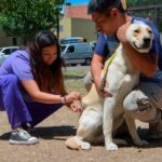 SAN LORENZO: SE REALIZARAN LAS JORNADAS DE VACUNACIÓN “PUESTA AL DÍA”