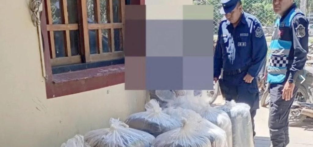 Ex Peaje Aunor: Seguridad Vial de la Policía incautó 300 kilos de hojas de coca en el ingreso a Salta
