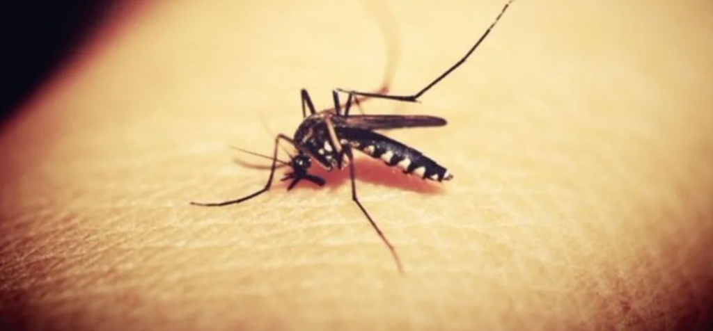 Salud Pública intensifica la vigilancia epidemiológica para el verano 2025