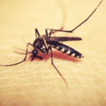 Salud Pública intensifica la vigilancia epidemiológica para el verano 2025