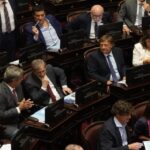 Senado: se suspendió las PASO para las elecciones 2025