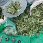 Arrestaron a un policía con 16 bolsas de hojas de coca