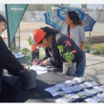 Continua el programa de entrega de semillas para vecinos de San Lorenzo