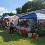 Capacitación y oportunidades: la Municipalidad impulsa talleres para aprender y emprender