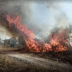 Una reserva para tiempos difíciles: impulsan un Fondo de Emergencia ante desastres