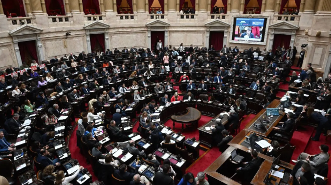 Diputados rechazó el veto a la ley que declara la emergencia en discapacidad