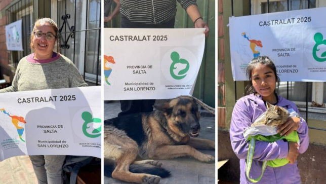 San Lorenzo se sumó a la jornada de castración masiva más grande de América Latina