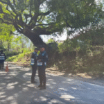 Seguridad Vial detectó y sancionó a más de 140 conductores alcoholizados