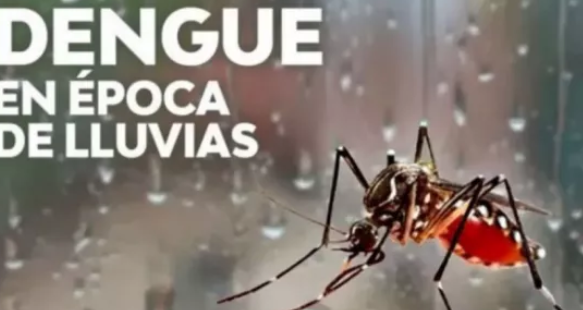 Pautas para prevenir el dengue durante el período de lluvias