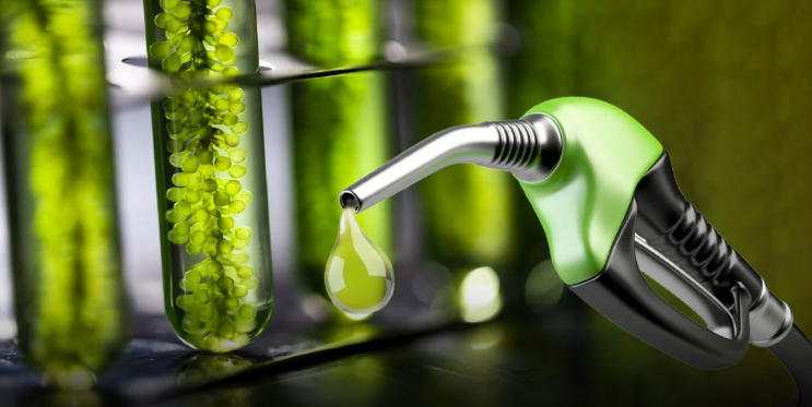 El Gobierno oficializó los nuevos precios de los biocombustibles