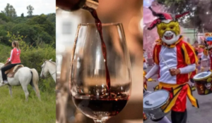 Cabalgatas, corsos, carnaval y vendimia: Mirá todo lo que podés hacer el finde XL en Salta