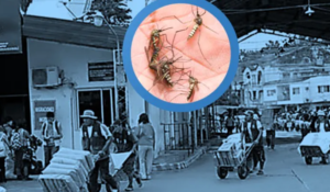 Apuntan a los tours de compra a Bolivia, que traerían casos de dengue al norte