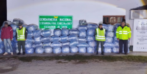 Secuestraron una tonelada y media de hojas de coca que iban escondidas en un camión