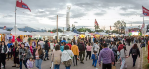 Potencia Salta 2026: se encuentra disponible el listado de emprendedores seleccionados